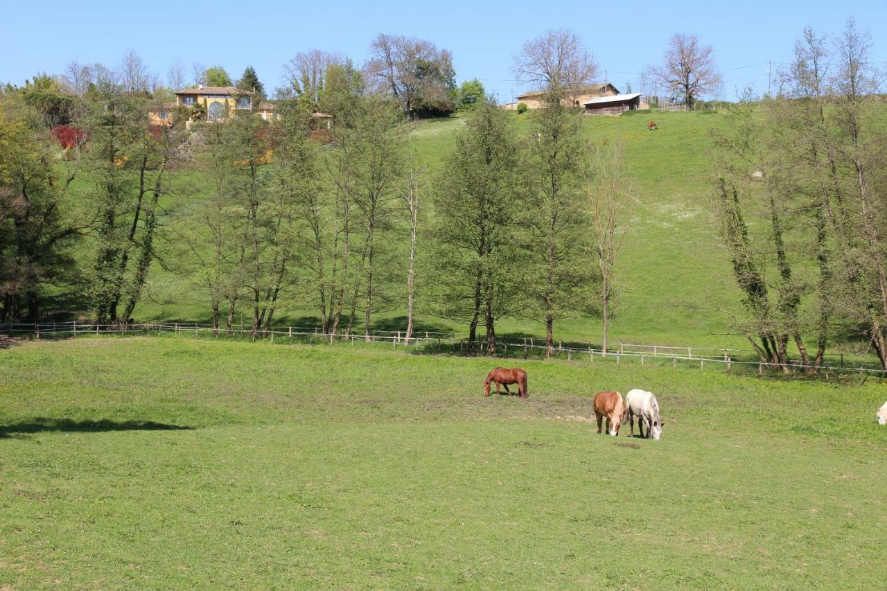 Le Vallon De Saint Andre Limonest Exterior foto