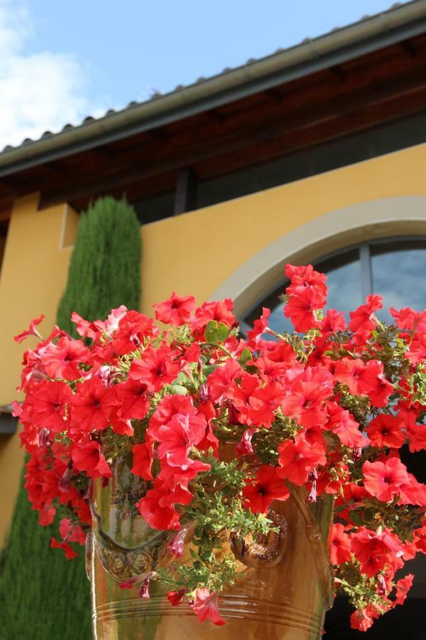 Le Vallon De Saint Andre Limonest Exterior foto